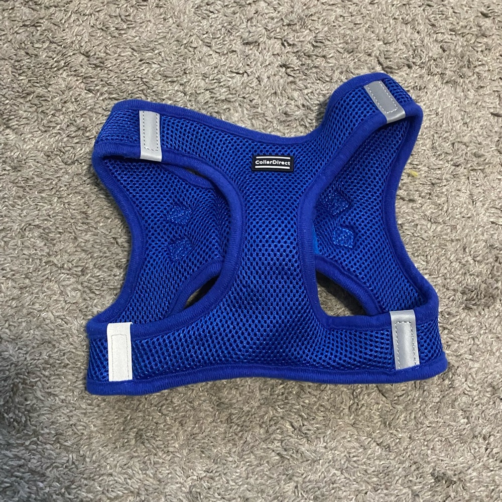 Blue Dog Harness by